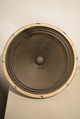 fender 15 inch speaker