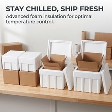 Insulated Foam Box for Cold Storage and Shipping