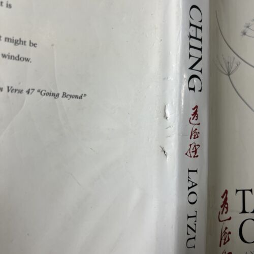 Tao Te Ching - Lao Tzu - Barnes & Noble HC - New Translation & Commentary - Foto 18 di 24