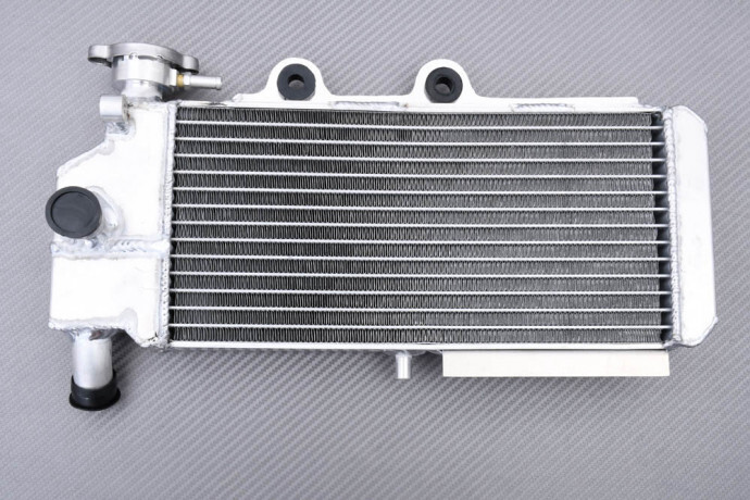 Radiateur de remplacement Racing haute performance pour BMW G650