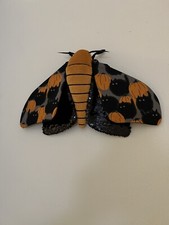 Molly Burgess Designs “Clotilde Moth” Art