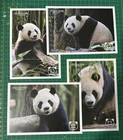 Hong Kong Ocean Park Panda Postcard Card X 4 Giant Panda Stamp
