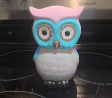 Hand Painted Owl Coin Bank