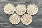 Lot Of 5 1935 P Buffalo Nickel Philadelphia Mint Full Date Horn And Tail Visible