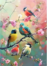 Colourful Birds Diamond Painting Kit 30x40cm Round Drill Art