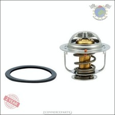 Thermostat Nissan TRADE
