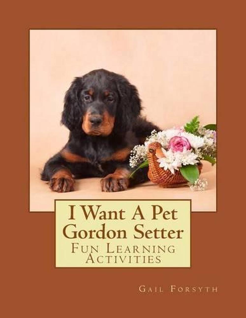 I Want A Pet Gordon Setter: Fun Learning Activities by Gail Forsyth (English) Pa