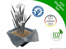 H2O Einpflanz-Set | Teichpflanzen | Unterwasserpflanzen | Seerose |