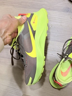 Nike Pegasus Trail 3 GTX Men's