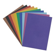 Pacon Poster Board - Assorted Colors - 100 Sh...