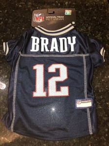 brady dog jersey