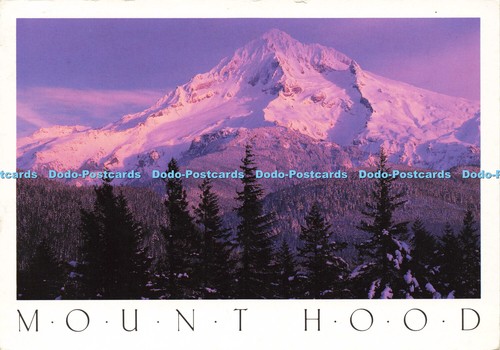 D165528 Montagehaube. Oregon. Smith Western. Kerry Wetzel. 1991