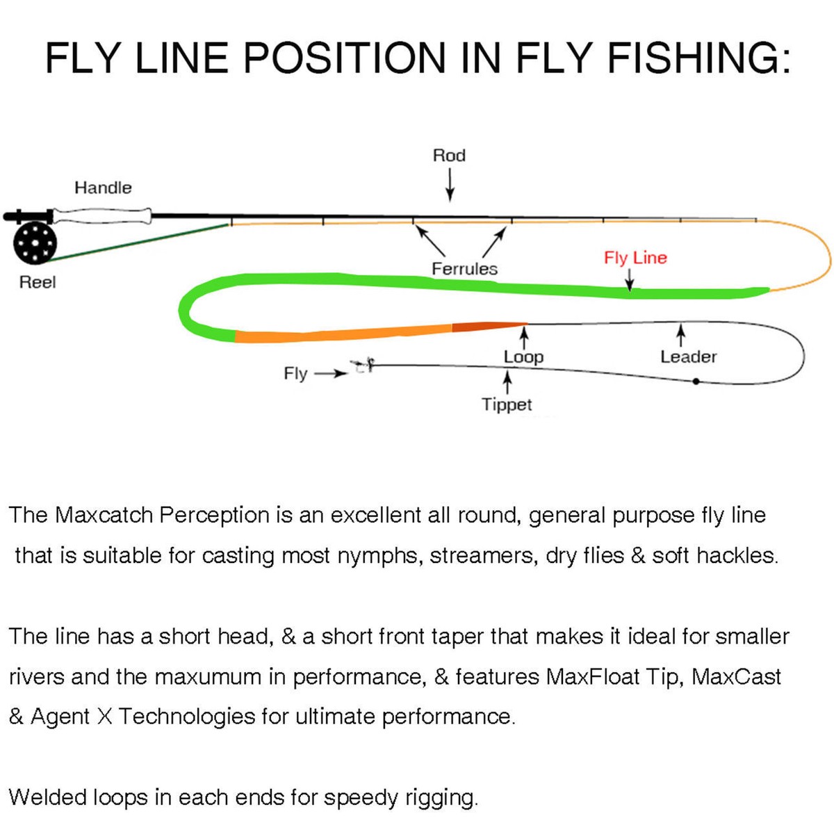 Maxcatch Perception Line Fly Line Fishing Fishing Lines & Leaders Maxcatch WF2F-8F Real ...