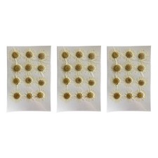 Nat&uuml;rliche Trockenblumen wei&szlig;es G&auml;nsebl&uuml;mchen gepresste Blume f&uuml;r Schmuck Nagelsticker 3660