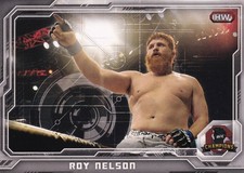 2014 Topps UFC Champions Nickname Variations Guide 55