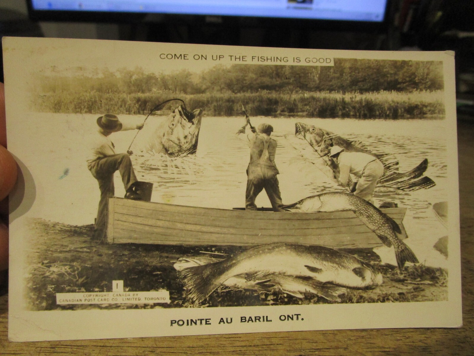 V7 ONTARIO CANADA Old Postcard Point au Baril Generic Funny Bawdy Fishing Humor eBay