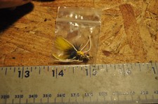 Frog / Bug Type Popper Fly Rubber Legs ,  looks unused, see pictures