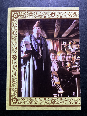 The Weasleys Harry Potter Evolution TCG Cards English Italy Panini