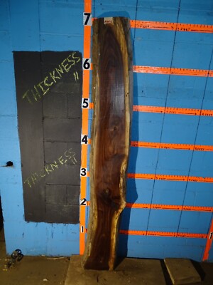 A2047   2 1/4'' THICK  black walnut Live Edge Slab lumber KILN DRIED