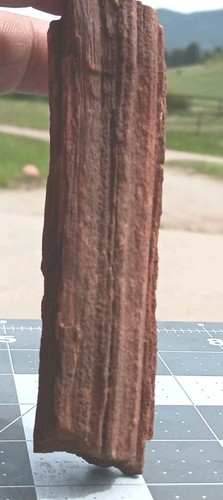 Expositor de cuarzo corteza ondulada rama madera petrificada sur de Utah 4 1/4" x 1 1/4" x 3/4" - Imagen 13 de 19