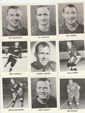 1965/66 COCA-COLA ALEX DELVECCHIO ONLY RED WINGS **MINT++**READ**FREE SHIPPING