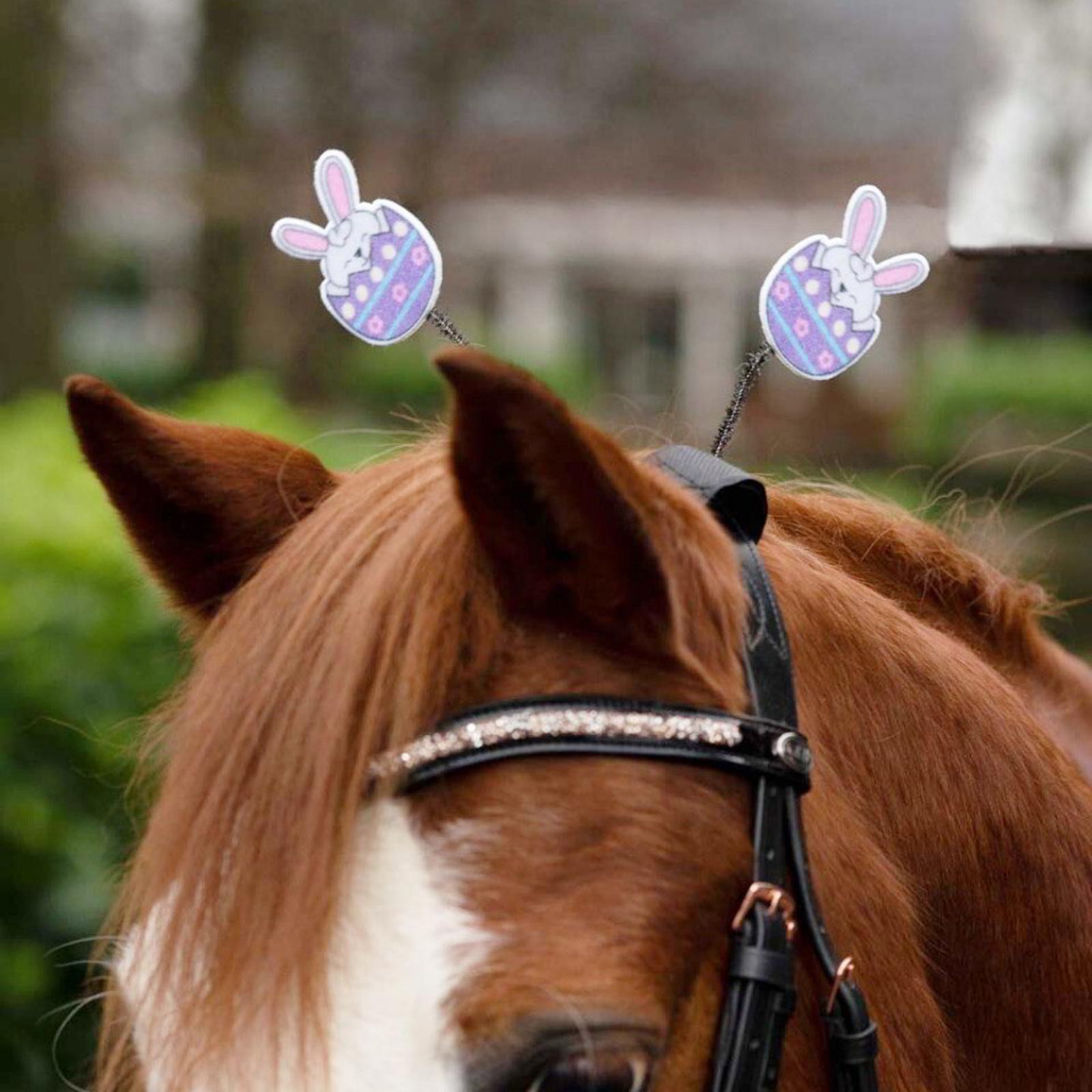 Easter Bridle Attachments for Horses and Ponies - Easter Bunny Fun Novelty