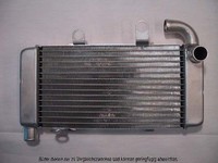 AKS Dasis KüHler, MotorküHlung 500250N