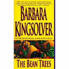 The Lone Ranger Volume 2 by Anne Rivers Siddons