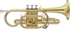 Bb Cornet, in ABS case