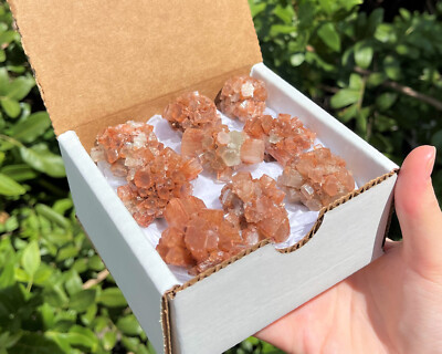 Small Aragonite Clusters Box: 6 - 8 Pieces (Natural Aragonite Star Cluster)