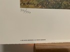 Picture 3 of 8
