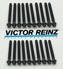 20 Set of Cylinder Head Bolts for BMW 530i 540i 740i M5 X5 - VICTOR REINZ