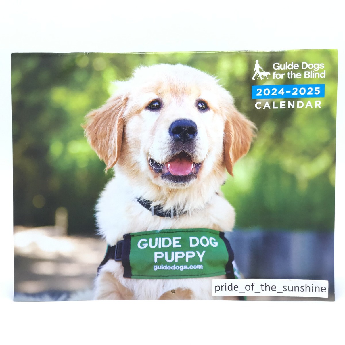 The Blind Puppy Seeing Eye Dog Guide Dogs For The Blind Puppy