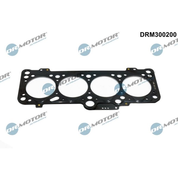 Dr.Motor Automotive Zylinderkopfdichtung Passend FüR Audi 80 Seat Cordoba Ibiza-image