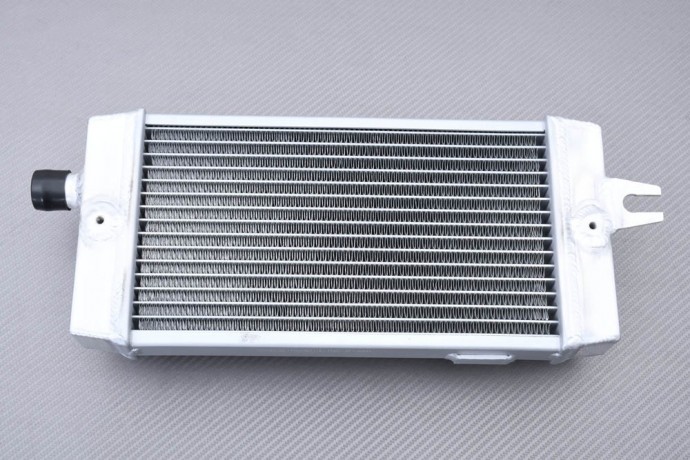 Radiateur racing en aluminium haut de gamme pour Triumph Street Cup 900