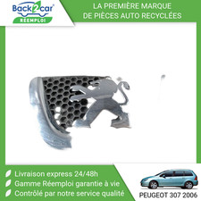Calandre Peugeot 307