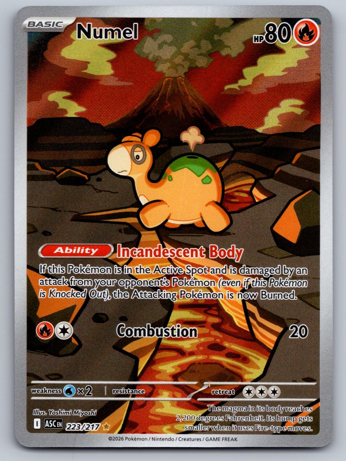 Numel 223/217 Illustration Rare Ascended Heroes Pokemon Holo Near Mint