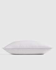 Quince Luxe Goose Down Standard Pillow Medium/Firm w/100% Cotton Protector
