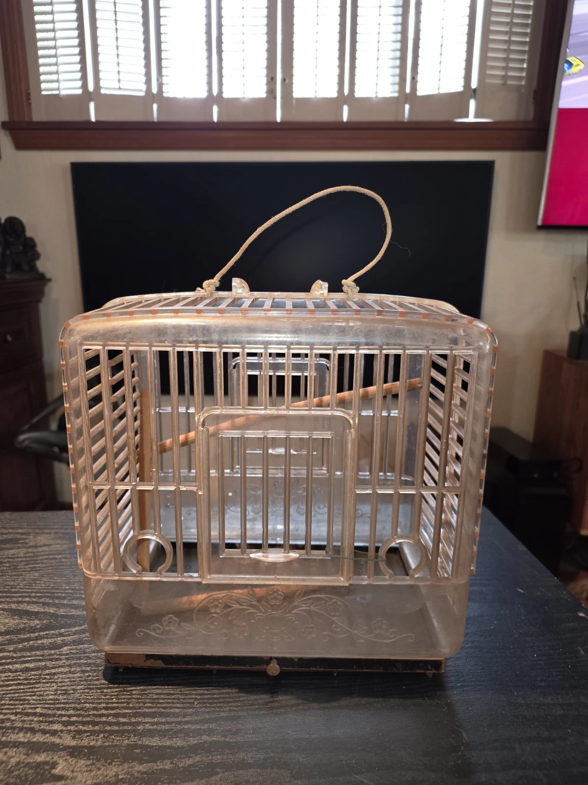 Vintage Retro Transparent Plastic Bird Cage Travel Carrier Decor