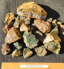 Christmas Tree Agate Rough Cady Mountain See Scale for Size 11 Pounds See Video