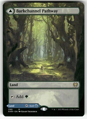Barkchannel Pathway (Borderless) 290 Rare Kaldheim Magic: The Gathering NM