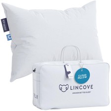 Cloud Natural Canadian Down Pillow, White Luxury Sleeping Pillow - 625 Fill P...