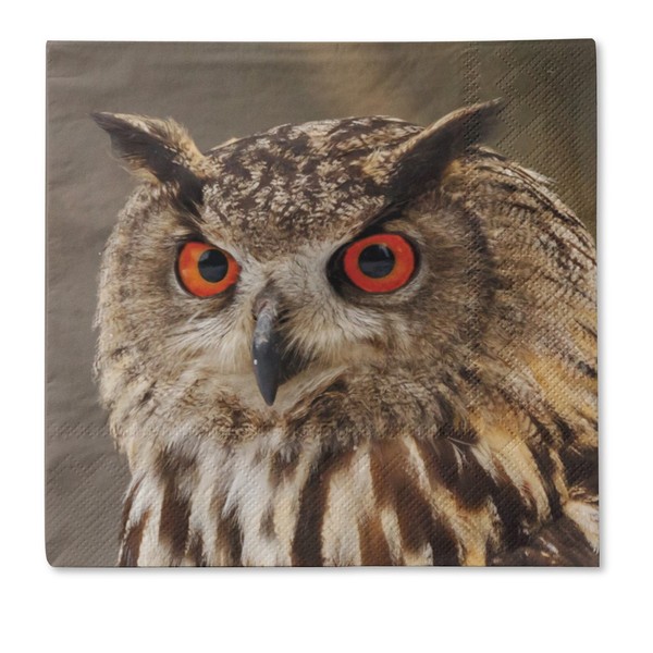Traumduft 20 StüCk Servietten 3-Lagig Uhu Till 33X33 Cm Dekor Papierservietten-image
