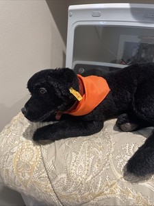 Steif Black Lab