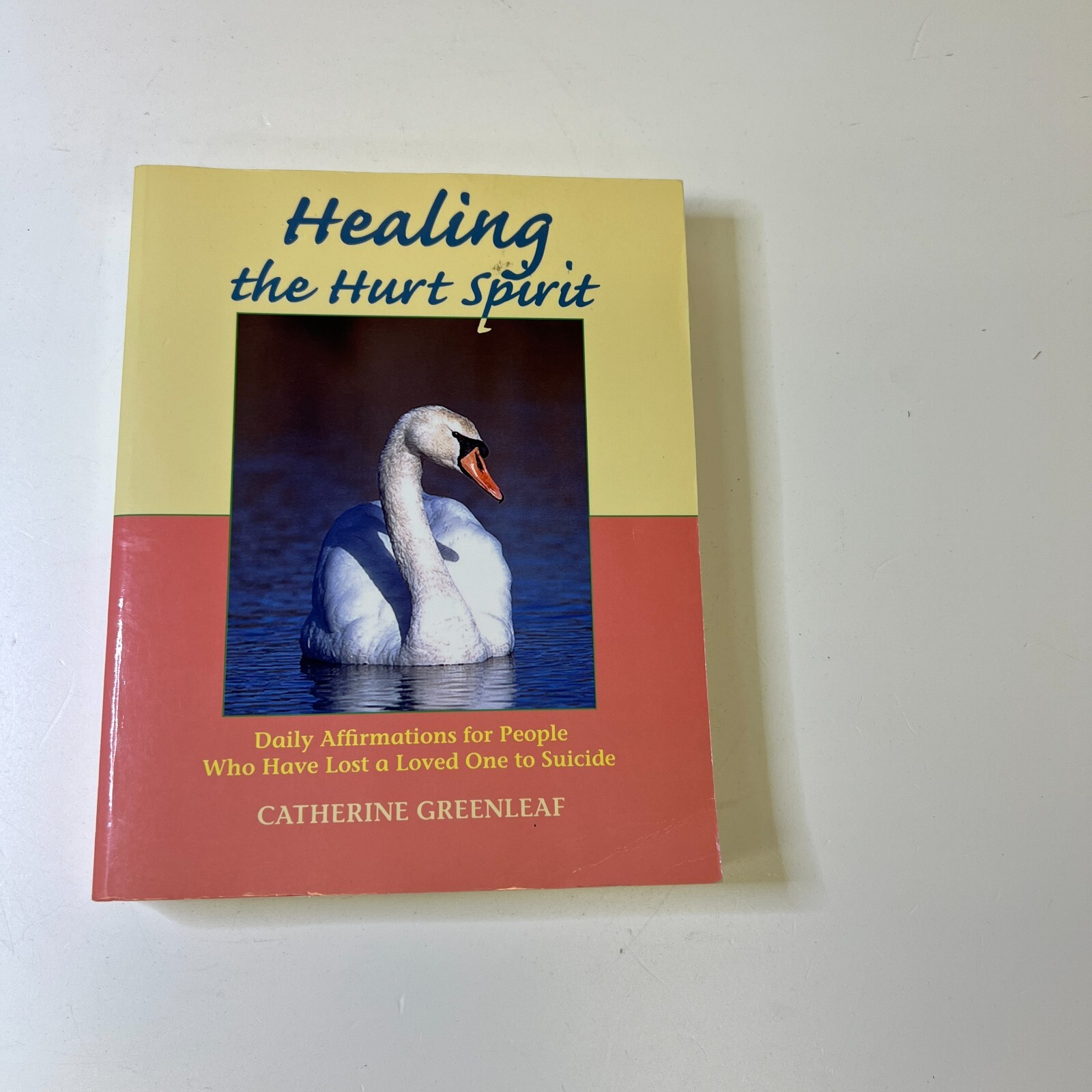 Healing the Hurt Spirit : Daily Affirmations for People Who Have