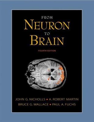 From Neuron to Brain: A Cellular and Molecular Approach to the Function of...