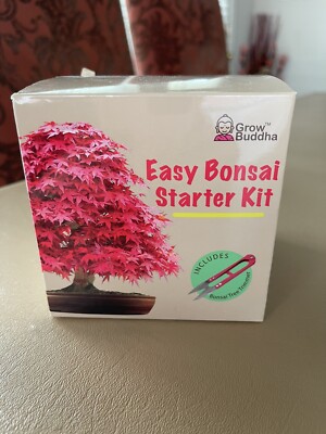 Easy Bonsai Starter Kit by Grow Buddha - Easily grow 8 types | eBay