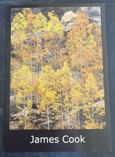 art postcard James Cook Forest Light 2006 Robert Steele gallery invitation