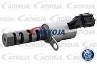 Ackoja Steuerventil, Nockenwellenverstellung A70-0671 FüR Toyota