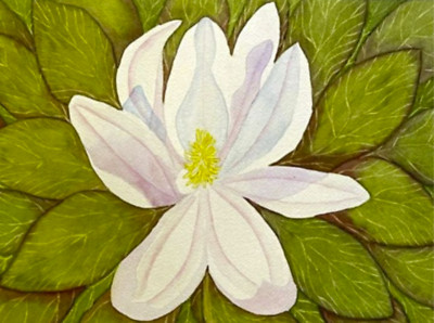PAINTING WATERCOLOR 11X14 & DOUBLE MAT 16X20 FLOWER MAGNOLIA WHITE PURPLE GREEN
